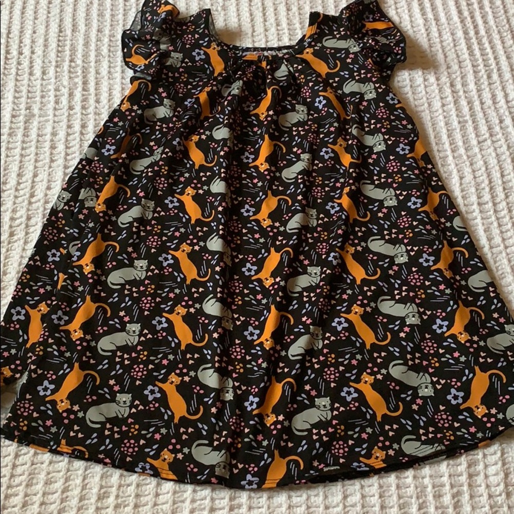 Dress 🐈